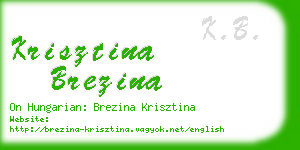 krisztina brezina business card